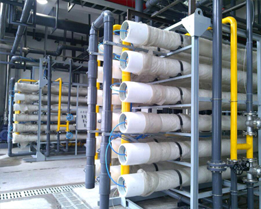 A reverse osmosis membrane element for a dairy industry